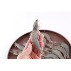 넉넉수산
