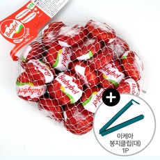 코스트코아기치즈