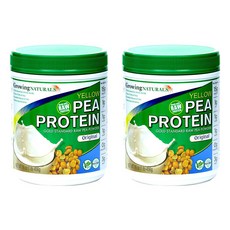 프롬잇프로틴칩