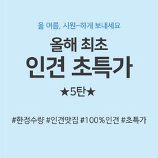 아이리스인견이불