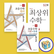 초3-2디딤돌수학원리