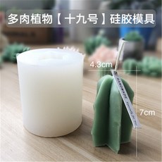 다육공예패키지