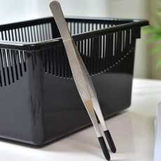 레파즈 이가탄탄 핀셋 마우스롯방지, 일자형20cm, 1개