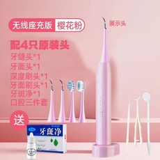 가정용 치석제거기 스케일링 초음파 셀프 치아관리기, 핑크