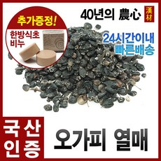 자애인 국산 오가피열매 600g 오가피 열매 오가피열매차 한차재료 강원정선, 단품, 1개