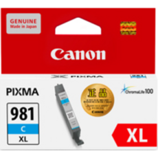 canonc300