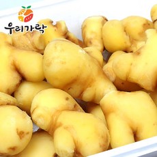 우리가락곰취
