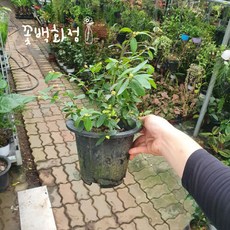 b5bd6a2f43620246ff349db01fd0ee4d2dd5c682caabfd61fcdd650d47f1.jpg