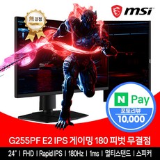 MSI G255PF E2 IPS 게이밍...