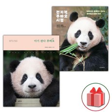 사은품) 아기 판다 푸바오 + 전지적 푸바오 시점 - 전2권