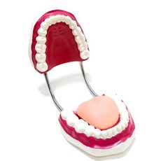 진짜같은병원놀이