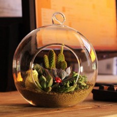 QDY 12cm 유리 식물 냄비 테라리움 병 홀더 홈 카페 Decor_Flat Base
