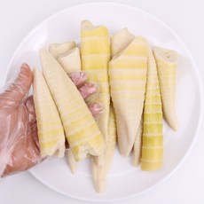담양 죽순 1kg 팔팔마켓 삶은죽순 생 햇죽순 나물판매
