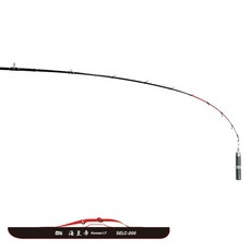 모짜르트갈치밑창대