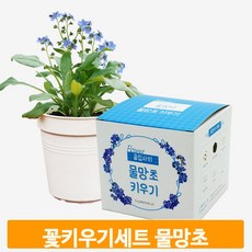 코딩키트식물