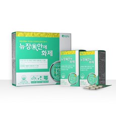유유제약 뉴장안에화제, 450mg, 1박스, 60정