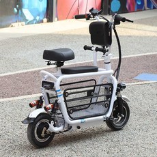 강아지전기자전거 산책 동반 펫 애완견 케이지, 20A 주행거리 95-100km