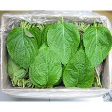 깻잎 1kg 이강산닷컴, 1개