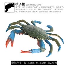 컬렉타백상아리