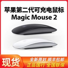 애플매직마우스2
