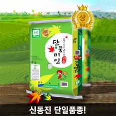 단풍미인찹쌀