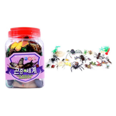 완구곤충의세계