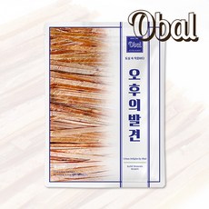 [오발] 이카스틱오징어1Kg, 1개