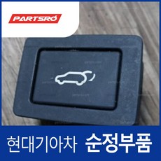 베라크루즈 트렁크 오픈 스위치 버튼 (967403J120WK) 베라크루즈 현대모비스 부품몰