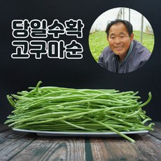 고구마줄거리