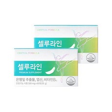 혈행개선 종아리 다리 부종 붓기완화 셀루라인 프리미엄 2박스, 120정, 2개
