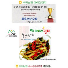 열무김치 3kg(당일 마이산김치공장 직접배송)