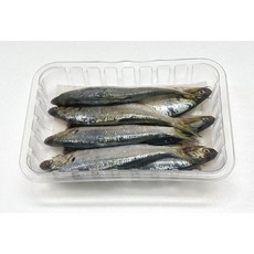 [MAP 신선포장] 국내산 생물 전어 500g, 1개