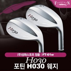 [성화스포츠-정품] 포틴 H030 카본 웨지 [FT-61w], Rw(38)