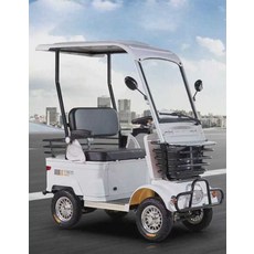아리샵 노인전동차 전동차지붕 효도선물용 어르신, 1개, 3인 650W 60V35A 리튬 차양