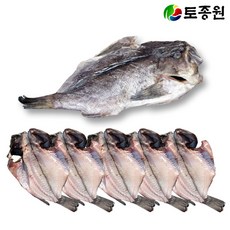 토종원 완도 마른우럭 대형 5마리