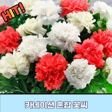 9d94d78500d2436871fee97a431c457a96919370625c28a6108dc473f454.jpeg