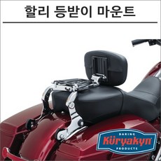 긴즈버그헤리티지