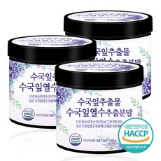 수국잎추출물분말