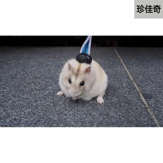 ab3e63ad68ac6f2e7abe6553c5cf3e1b01b28398b9b1b196c752c523d6af.jpg