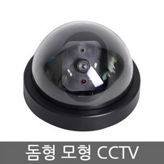 RHD805426돔형 모형 cctv, 단일옵션