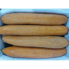 아삭아삭 오이 노각 (즙.무침.장아찌) 1개 ( 약 1kg~1.5kg)