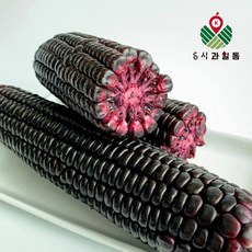 blackberry