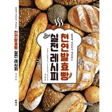 천연발효빵책