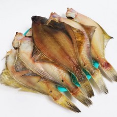 속초중앙시장반건조생선