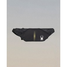 스파이더힙색