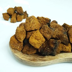 백장생 러시아 시베리아 차가버섯 원물, 1kg, 1개