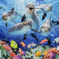 돌고래직소퍼즐