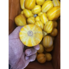 [고당도]가성비 갑 성주 꿀참외 가정용 참외 1kg 2kg 5kg 10kg, 1박스