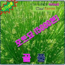 77f906af54ed35c49640bb10da5e2f6fa18c24ef9bfd1daa845d004d82cb.jpg