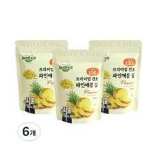 All바른농장 프리미엄 동결건조 파인애플 칩 20g (6개), 6개